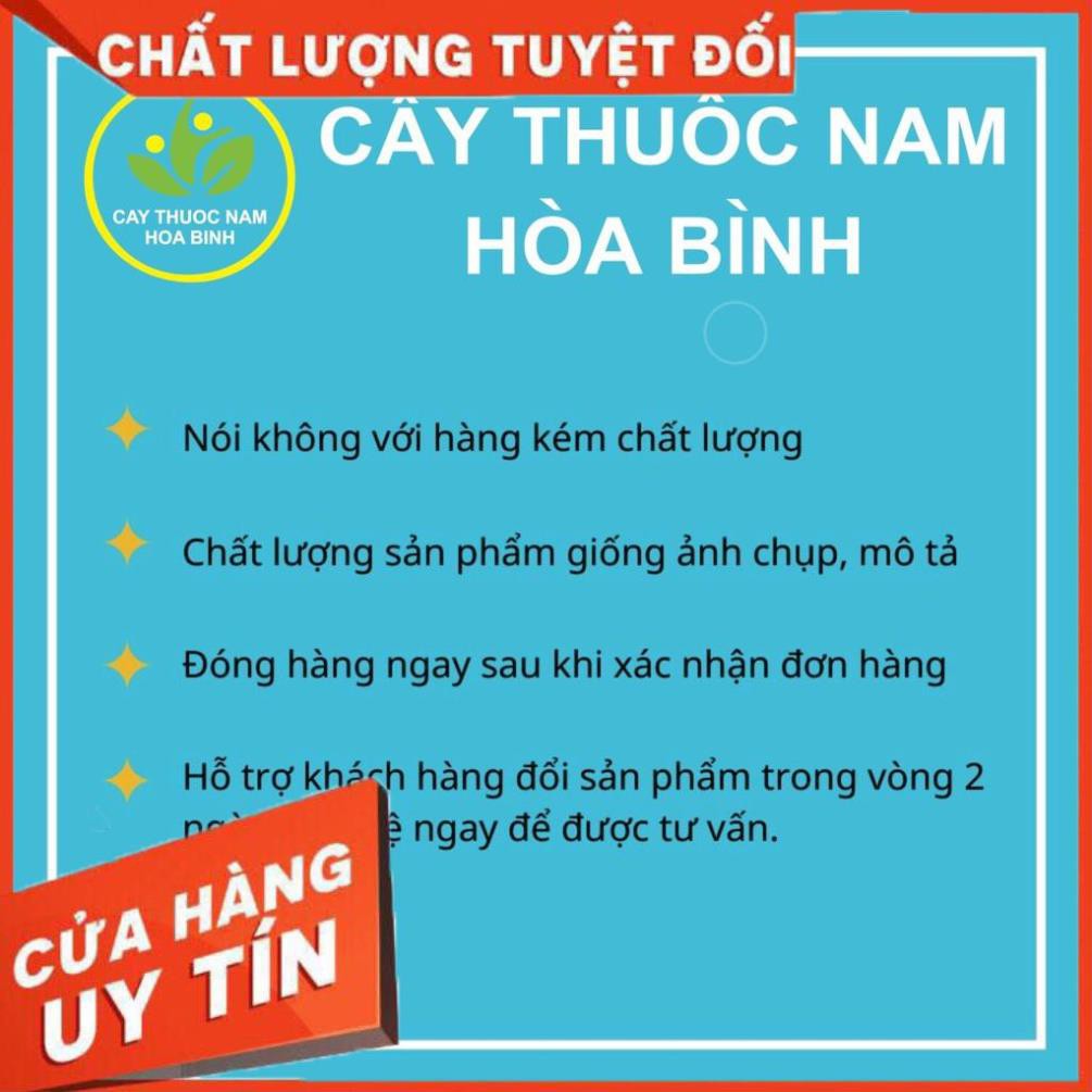 [HÀNG ĐẸP] 500g Nụ vối khô sạch