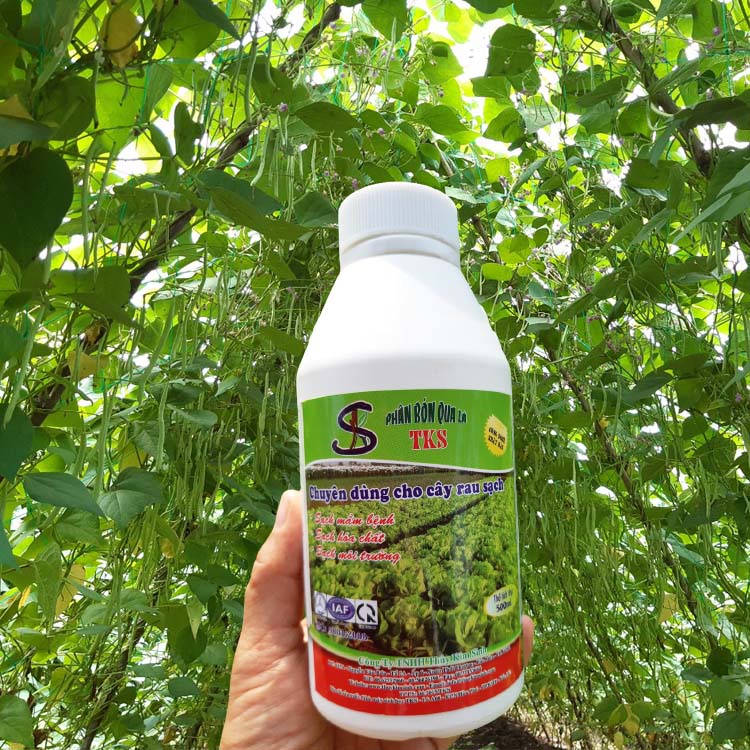 PHÂN BÓN LÁ : Mập Thân, Xanh Lá, Nở Ngọn, Nuôi Trái To, Đẹp Trái - Chai 500ml