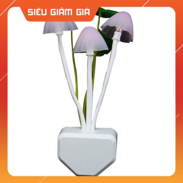 Đèn ngủ Led cảm biến ánh sáng hình Nấm