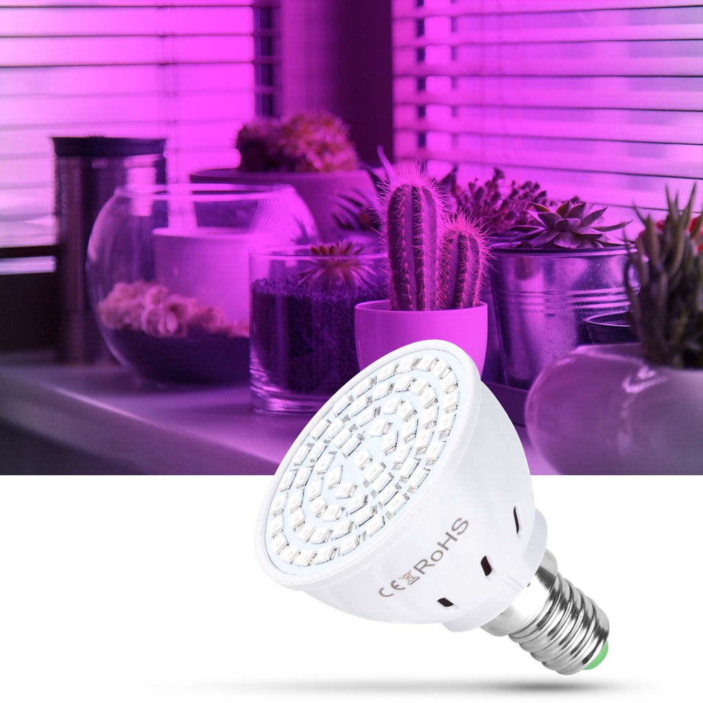 Bóng Đèn LED Trồng Cây E27 220V E14 MR16 GU10 48 60 80led