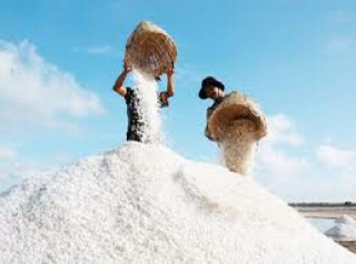 Muối Bạc Liêu 500g