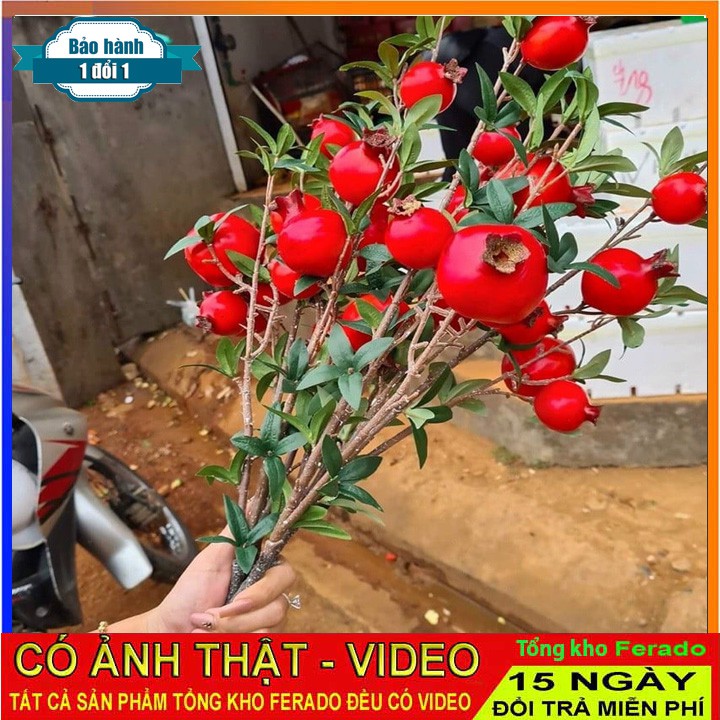 Cành Quả Lựu Giả - Cành Lựu Phú Quý Trang Trí  dài 60cm phong thủy thu hút tài lộc