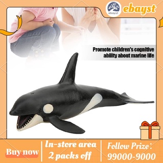 Bộ Mô Hình Cá Voi Sinh Động Làm Quà Tặng Cho Bé