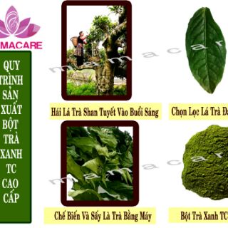 Bột trà xanh TC 100% organic