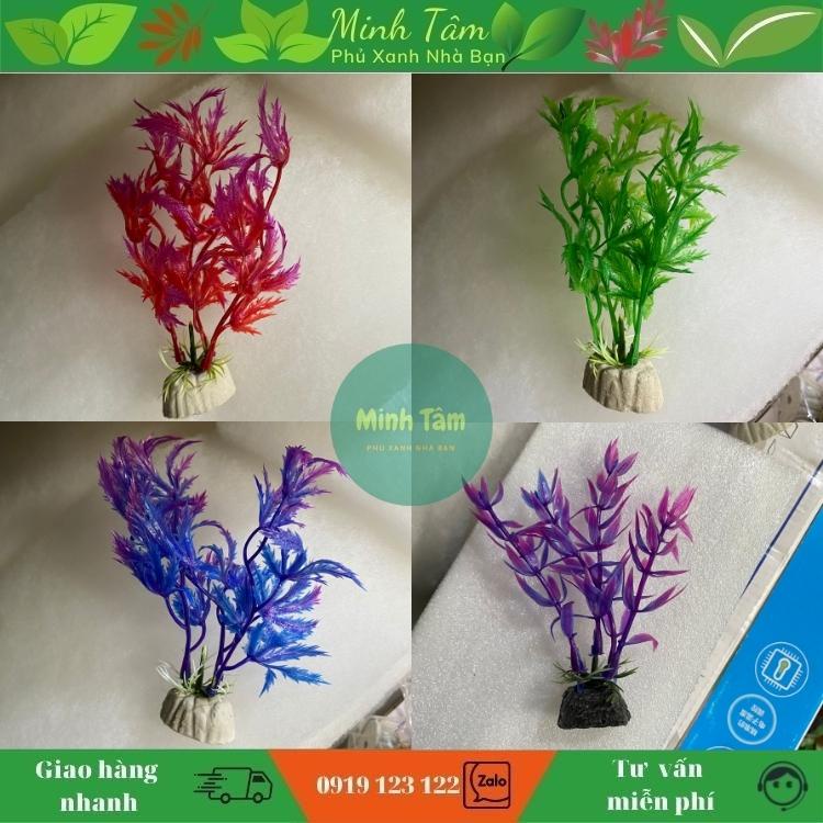 Cây nhựa trang trí bể cá - trang trí tiểu cảnh siêu đẹp giá rẻ