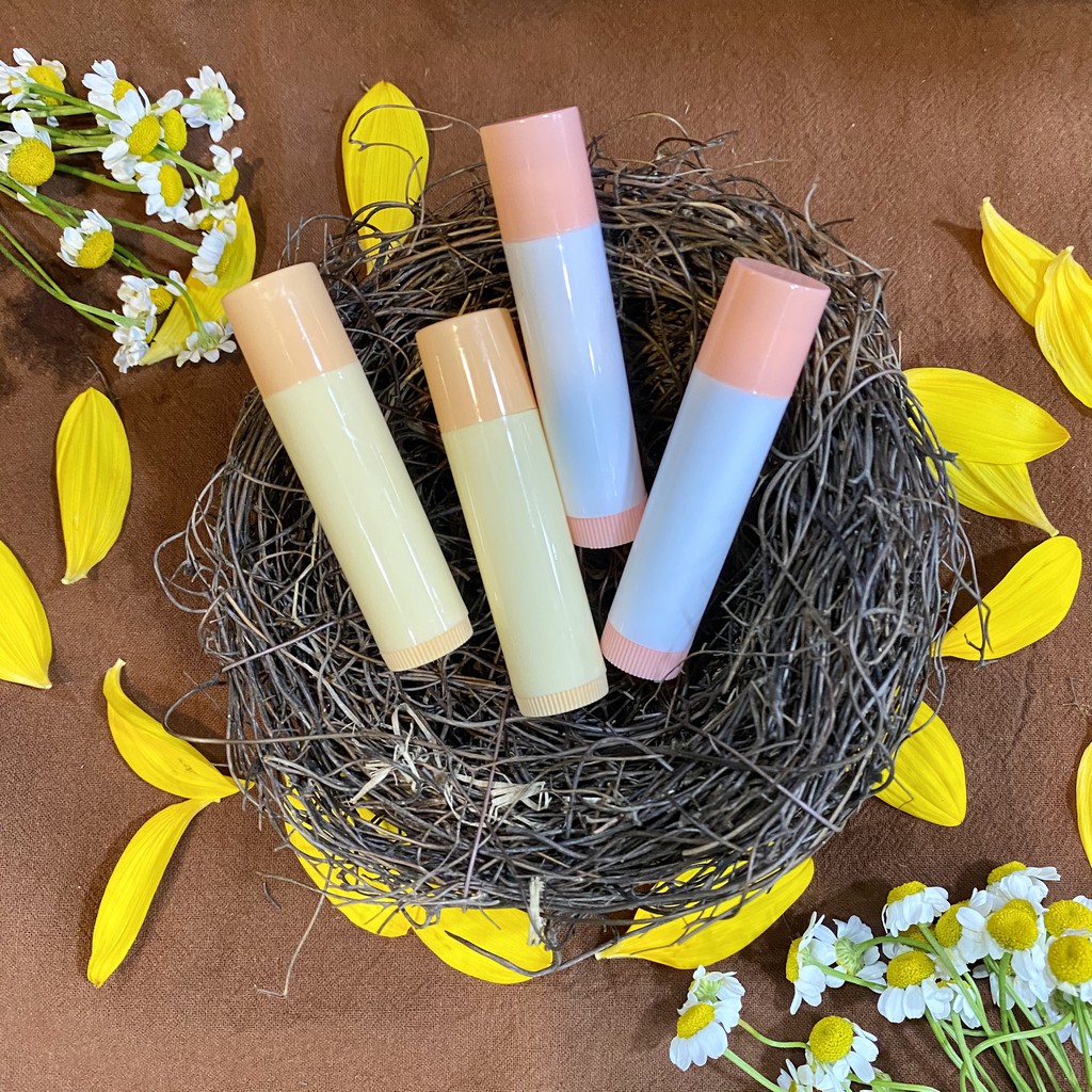 VỎ SON DƯỠNG MINI COLOR