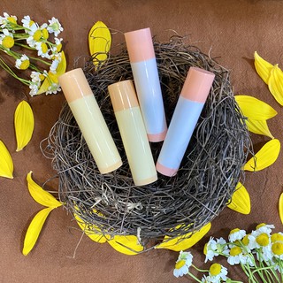 VỎ SON DƯỠNG MINI COLOR