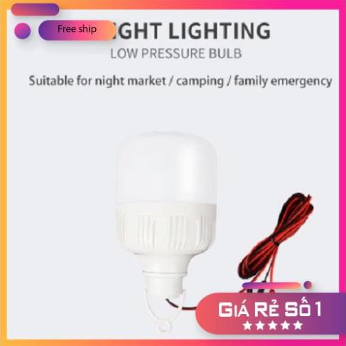Bóng đèn ắc quy 12v ~85V 30w, loại kẹp bình và loại đuôi xoáy. Bóng đèn kẹp bình ắc quy