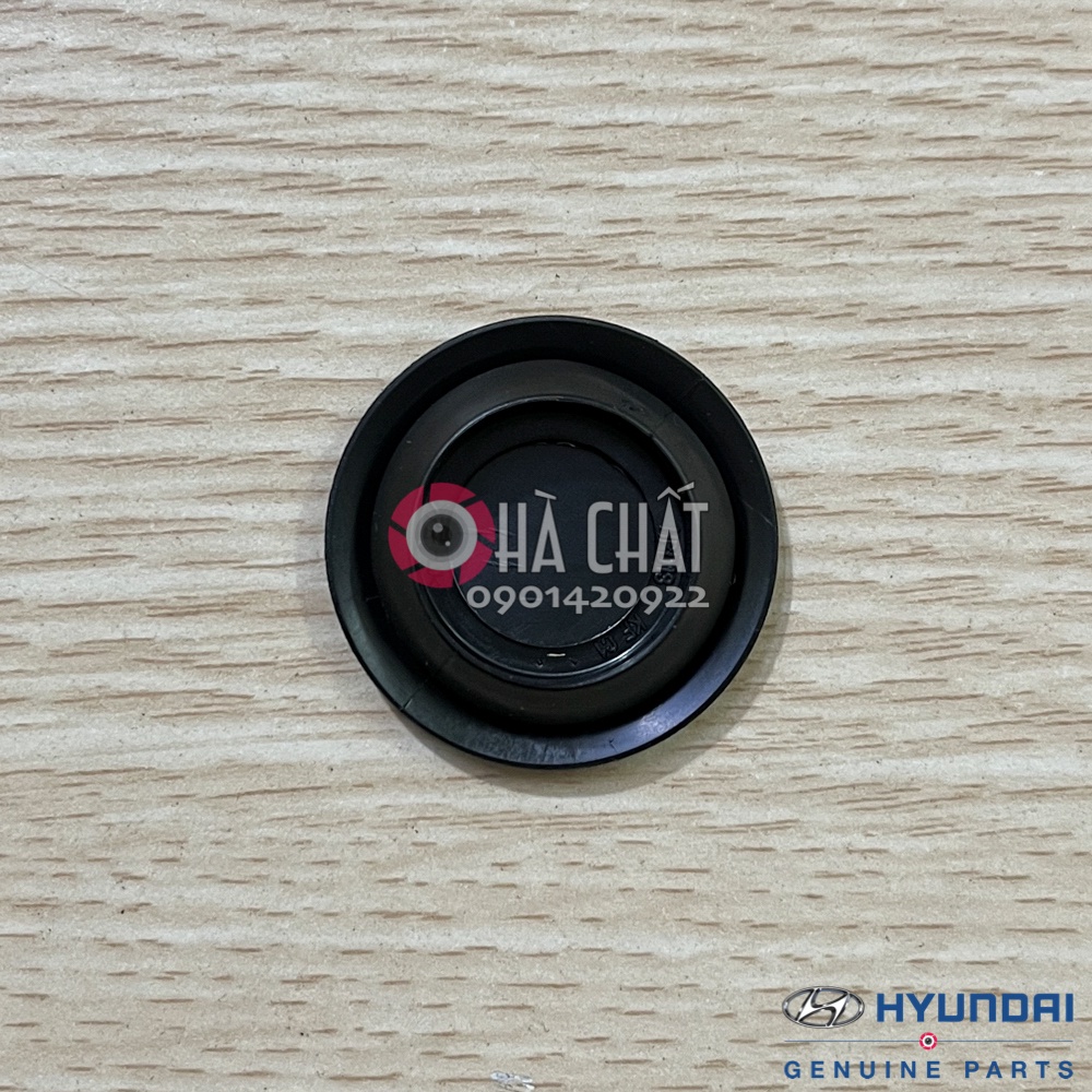 Nút đậy sườn xe, cánh cửa xe Hyundai và Kia 🚘 nhập khẩu chính hãng Hàn Quốc 🎯 Bảo hành 100% là hàng chính hãng