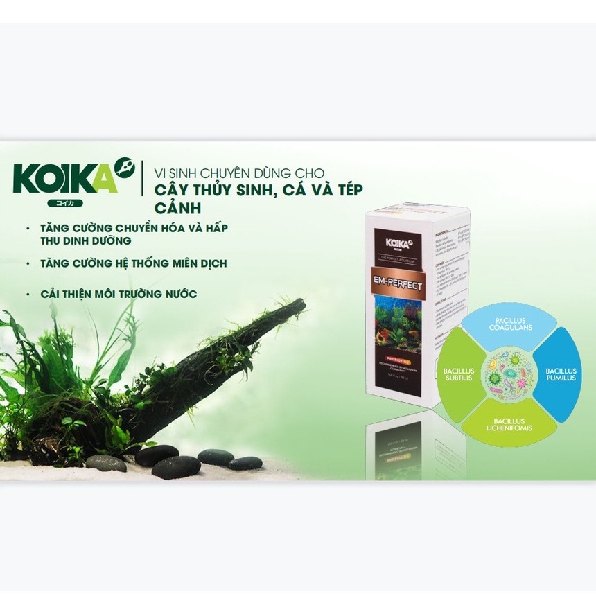 KOIKA EM-PERFECT | Vi Sinh Chuyên Dụng Cho Hố Cá Thuỷ Sinh, Hồ Tép Cảnh