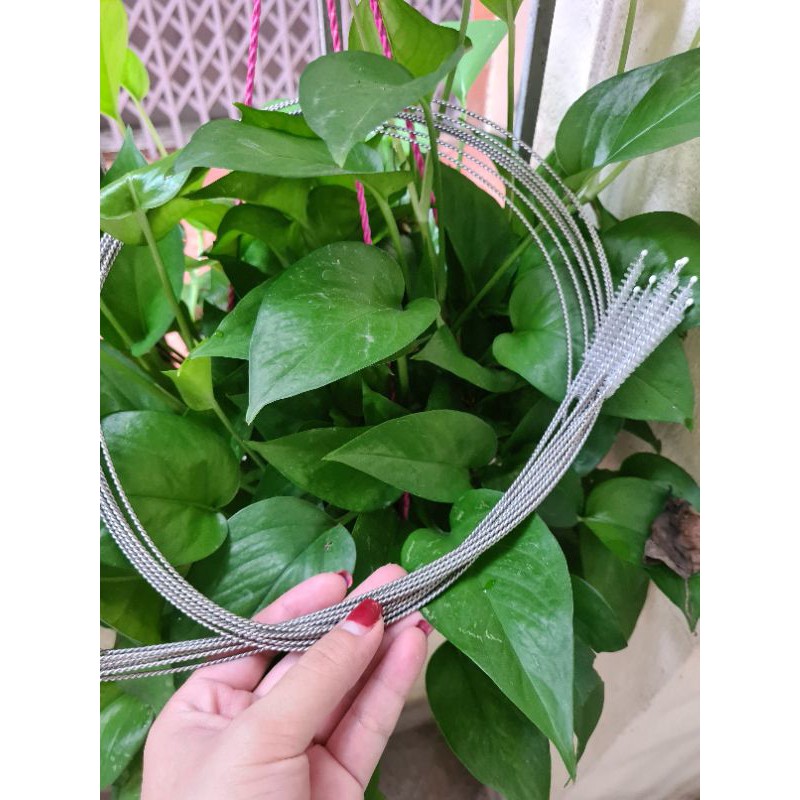 Dây cọ rửa dây truyền enema