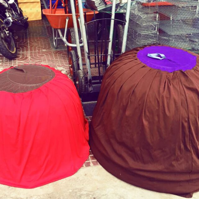 Mùng ( màn) trùm bội gà