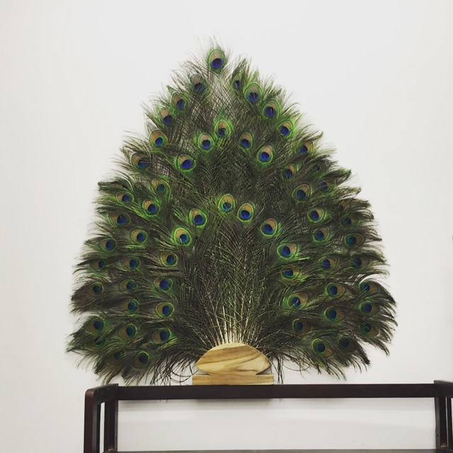 BÌNH LÔNG CÔNG cắm 65 lông công | Shopee Việt Nam