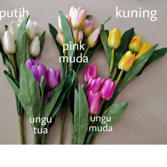 (Hàng Mới Về) Chậu Hoa Tulip Nhân Tạo Kèm Ốc Vít Qt1..