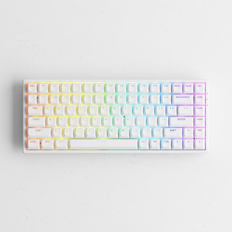 Bàn phím cơ AKKO 3084 v2 RGB – White
