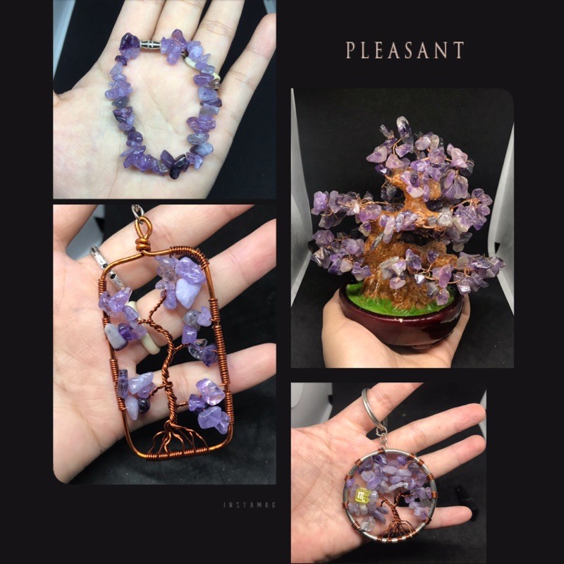 Mầm tím thô viên 2-3cm | BigBuy360 - bigbuy360.vn