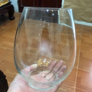 Chậu trồng cây thủy sinh