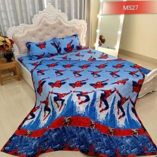 Bộ chăn, ga, gối  cottong poly trần bông  300.000đ