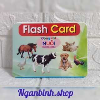 Thẻ Flash Card Song Ngữ Anh-Việt Chủ Đề Động Vật Nuôi Cho Bé