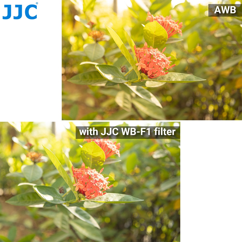 JJC Bộ Lọc Cân Bằng Trắng Cho Ống Kính Máy Ảnh Đa Năng 37-95mm, Bộ Nhanh Chóng Thiết Lập Cầm Tay Tính Chính Xác Cân Bằng Màu Trắng Tùy Chỉnh Bộ Kiểm Tra Cho Máy Ảnh Không Gương Lật &amp; SLR Chụp Ảnh