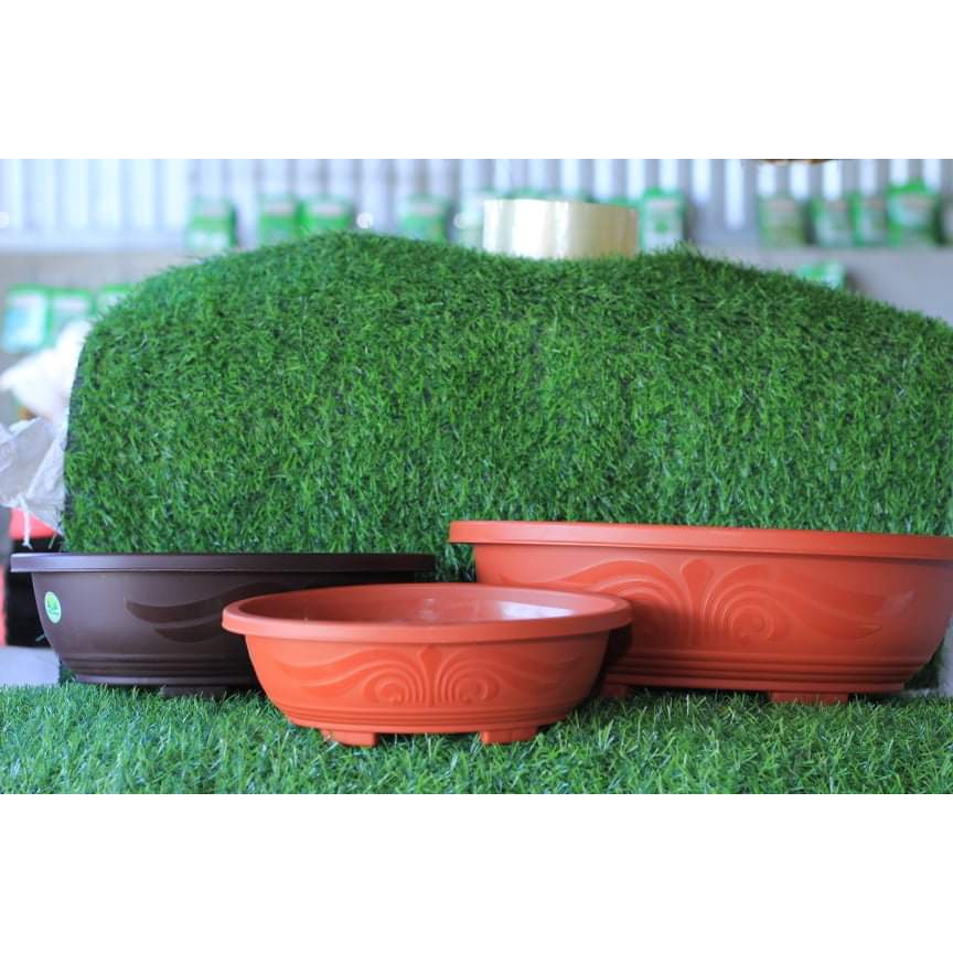 Chậu nhựa trồng cây, bonsai đa giác