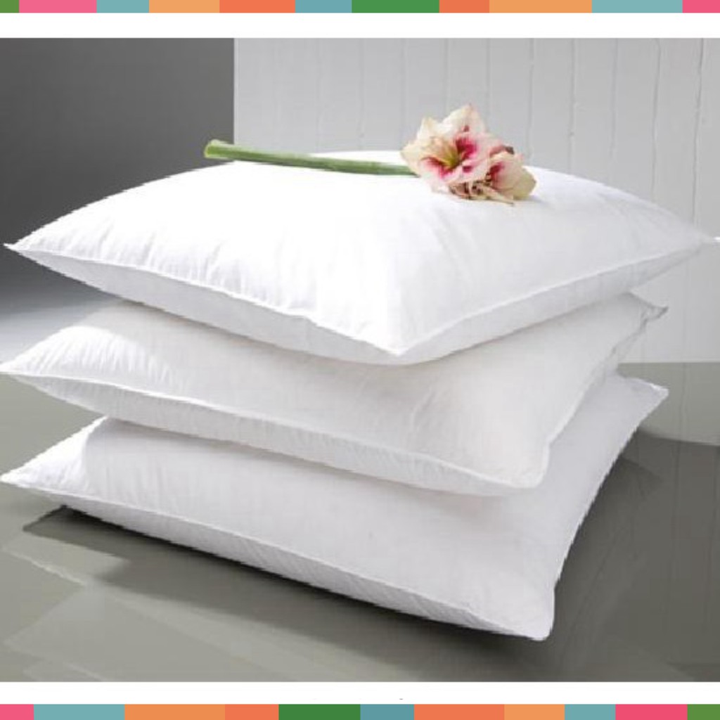 ruột gối hơi 50x70