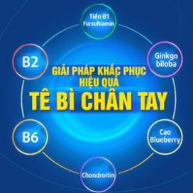Viên uống Vindermen Plus - Hỗ trợ giảm đau dây thần kinh, đau mỏi lưng và vai gáy