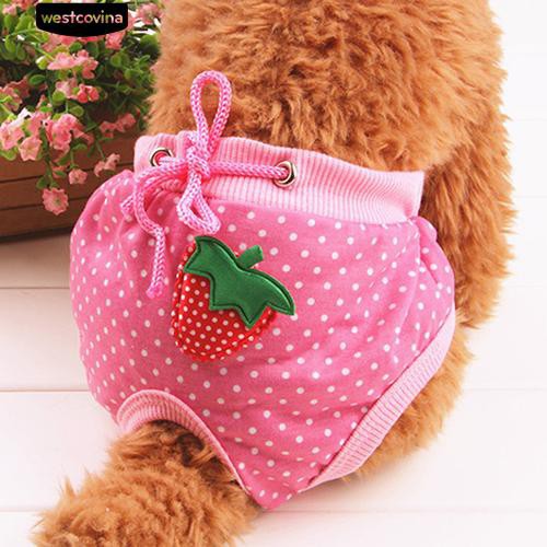 Quần lót cotton nhiều màu sắc họa tiết trái cây xinh xắn cho thú cưng