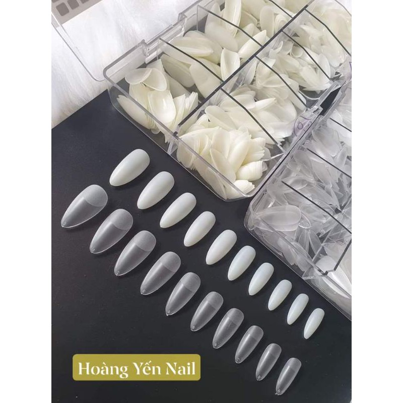 💥 Móng úp bầu hsm nhám sẵn💥