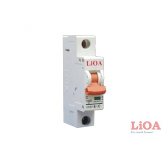 Cầu dao tự động C32 (APTOMAT) loại 1 cực LIOA