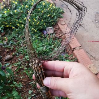 Giò chân đồng bẫy gà