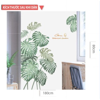 Mua combo 36 tấm