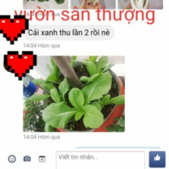 5kg Đất trồng chuyên Rau, Củ, Qủa, Hoa, Trộn Sẵn Đất Đỏ, Tro, Compoat, Phân Dê,.. Trồng Ngay