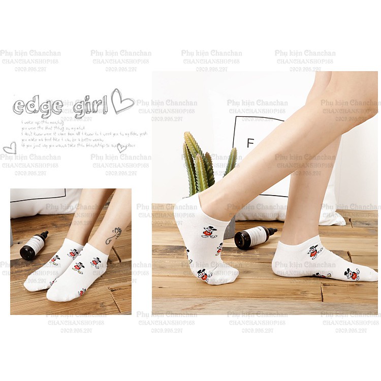 Combo 5 vớ cổ ngắn nữ siêu mịn style Hàn 75k