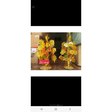 Cây Cành Vàng Lá Ngọc Trang Trí- Lá Ngọc Cành Vàng