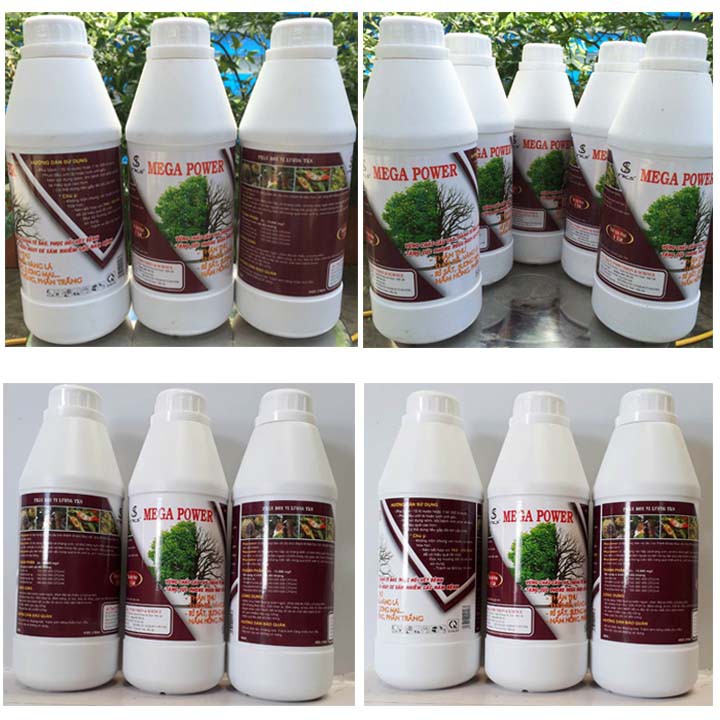 MEGA POWER Chế Phẩm Trừ Bệnh Thán Thư, Thối Nhũn, Rỉ Sắt, Sương Mai - Chai 1 Lít