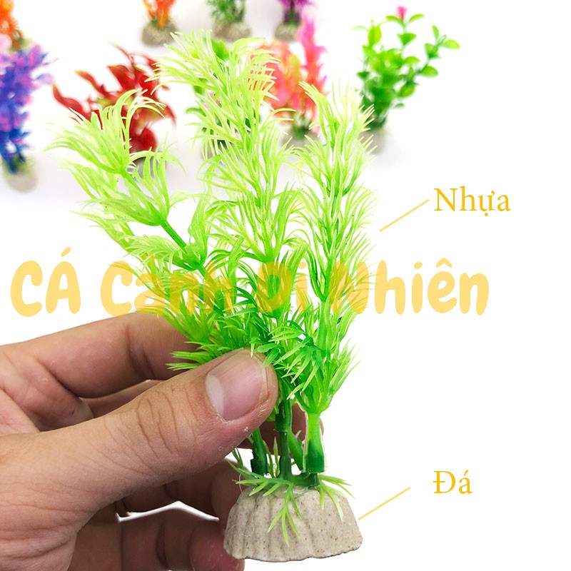 Cây rong nhựa trang trí hồ cá cảnh hòn non bộ size 12CM