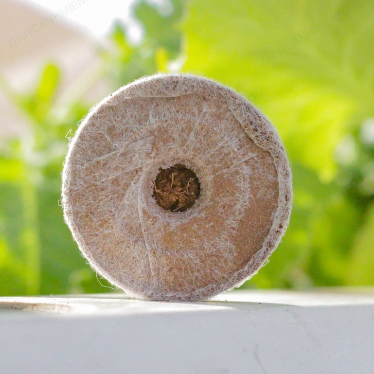 Viên Nén Ươm Hạt - Viên Nén Mùn Dừa, viên nén xơ dừa ươm hạt