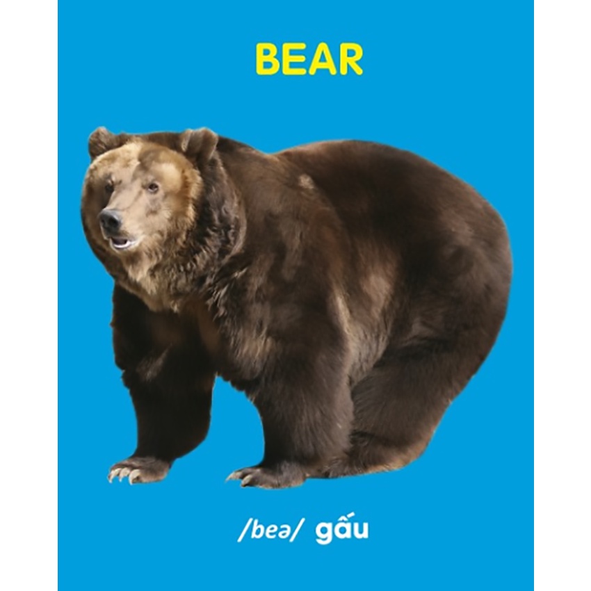 Sách - Bách khoa toàn thư cho bé - Động vật hoang dã