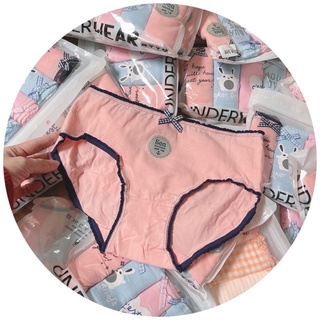 quần chíp bé gái từ 25-55kg