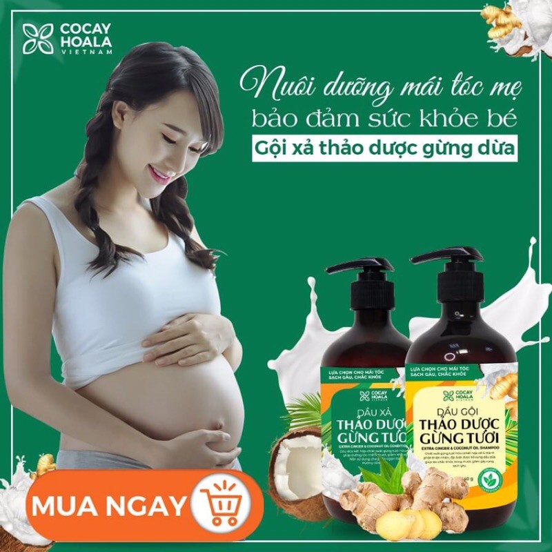 Combo gội + xả cặp dầu gội Thảo dược Gừng Dừa Hữu cơ cocayhoala 440ml | BigBuy360 - bigbuy360.vn