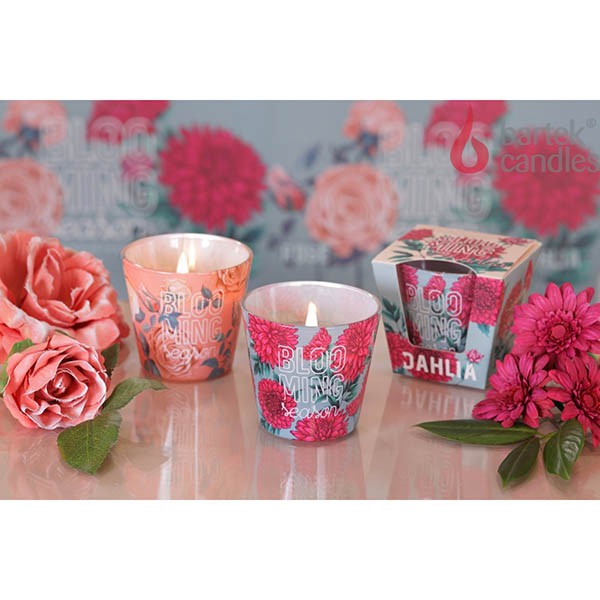 Ly nến thơm Bartek Candles BAT5215 Blooming Season 115g (Hương hoa cúc thược dược)