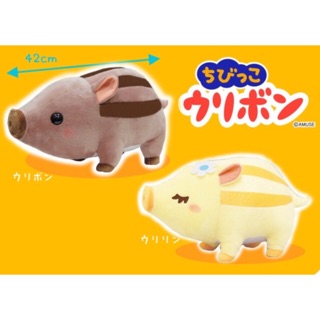 Amuse - Cặp đôi 2 em lợn rừng Chibikko Uribon