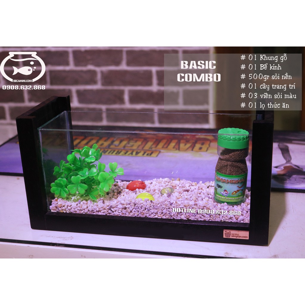 Bể cá mini khung gỗ