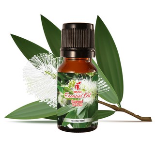 Tinh dầu tràm gió thiên nhiên nguyên chất