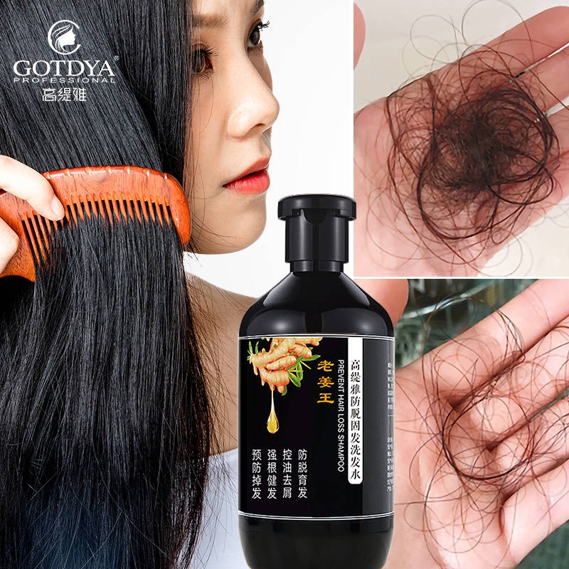 【Fast shipping】 Mature ginger shampoo anti-hair loss hair growth dense hair anti-dandruf and relieve itching oil control