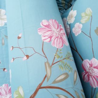 Bộ ga gối cotton hàn quốc