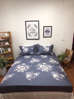 Set ga gối cotton