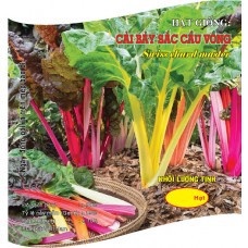[Rẻ Vô Địch] hạt giống Cải bảy sắc cầu vồng
