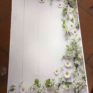 Thảm 3D Chụp Ảnh Sáng Tạo